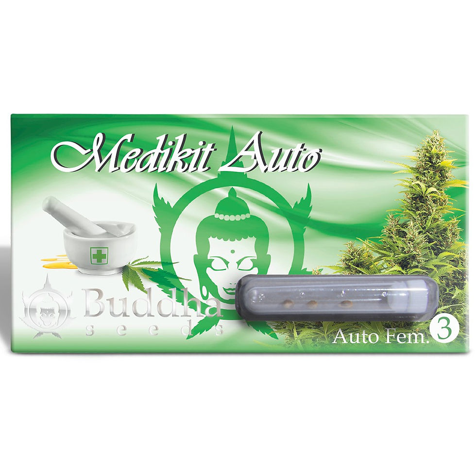Miniatura: Medikit Auto x3 Buddha Seeds