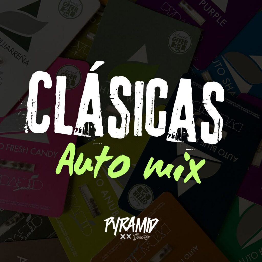 Clásicas Auto Mix (x10) Pyramid Seeds