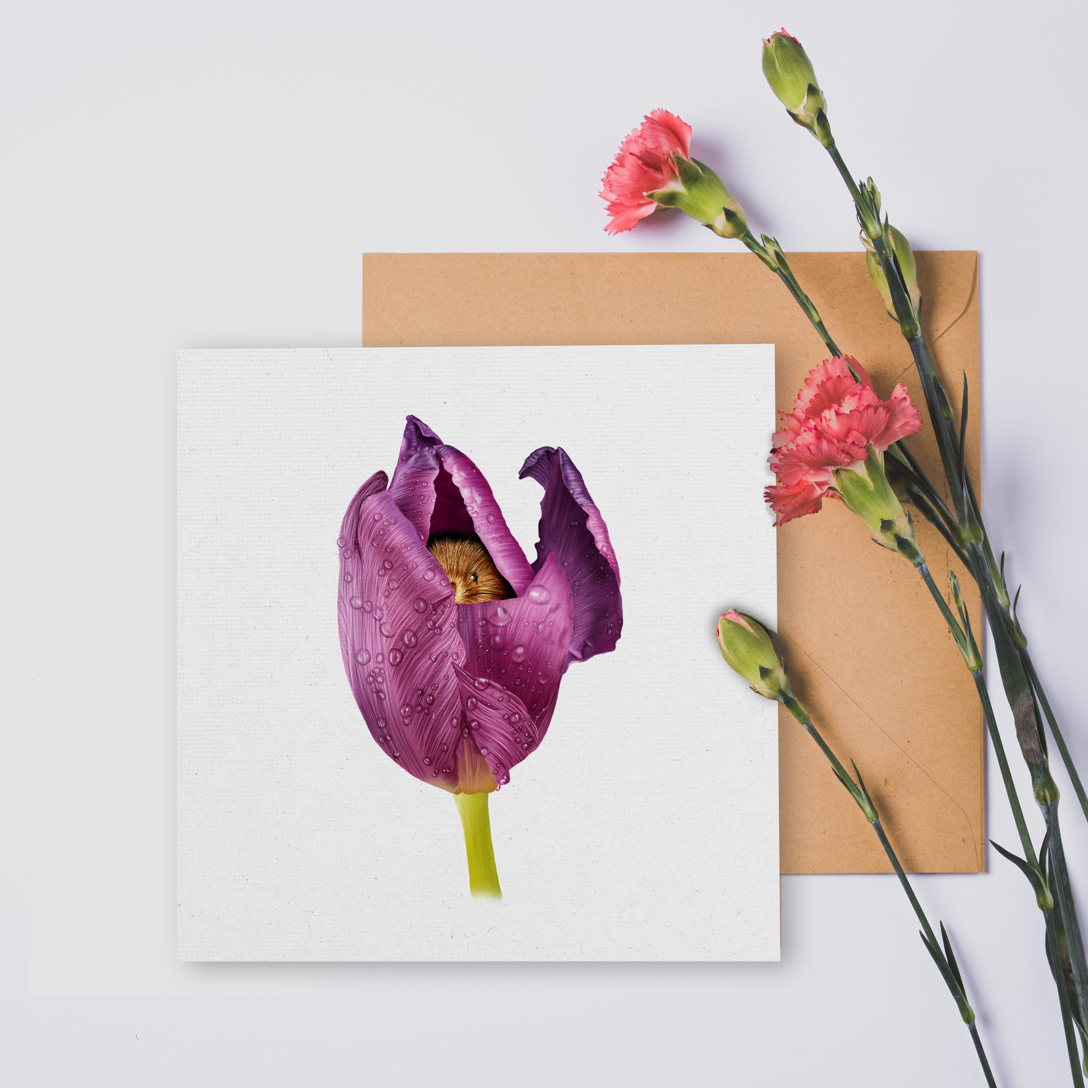 'Peekaboo' Greeting Card