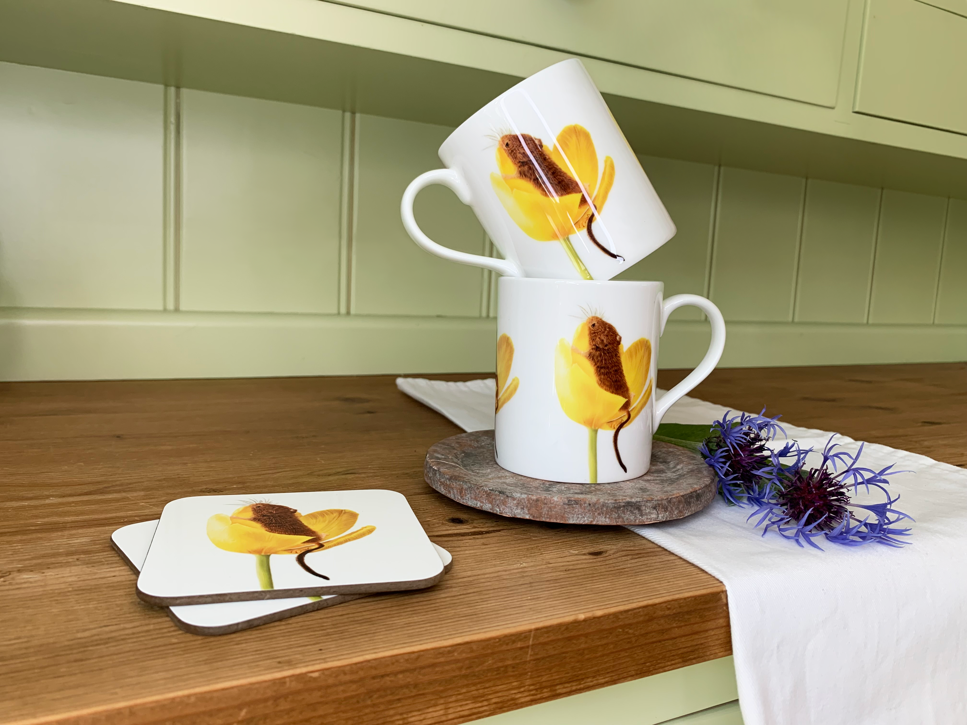 'Spring Curiosity' Mug & Coaster Set