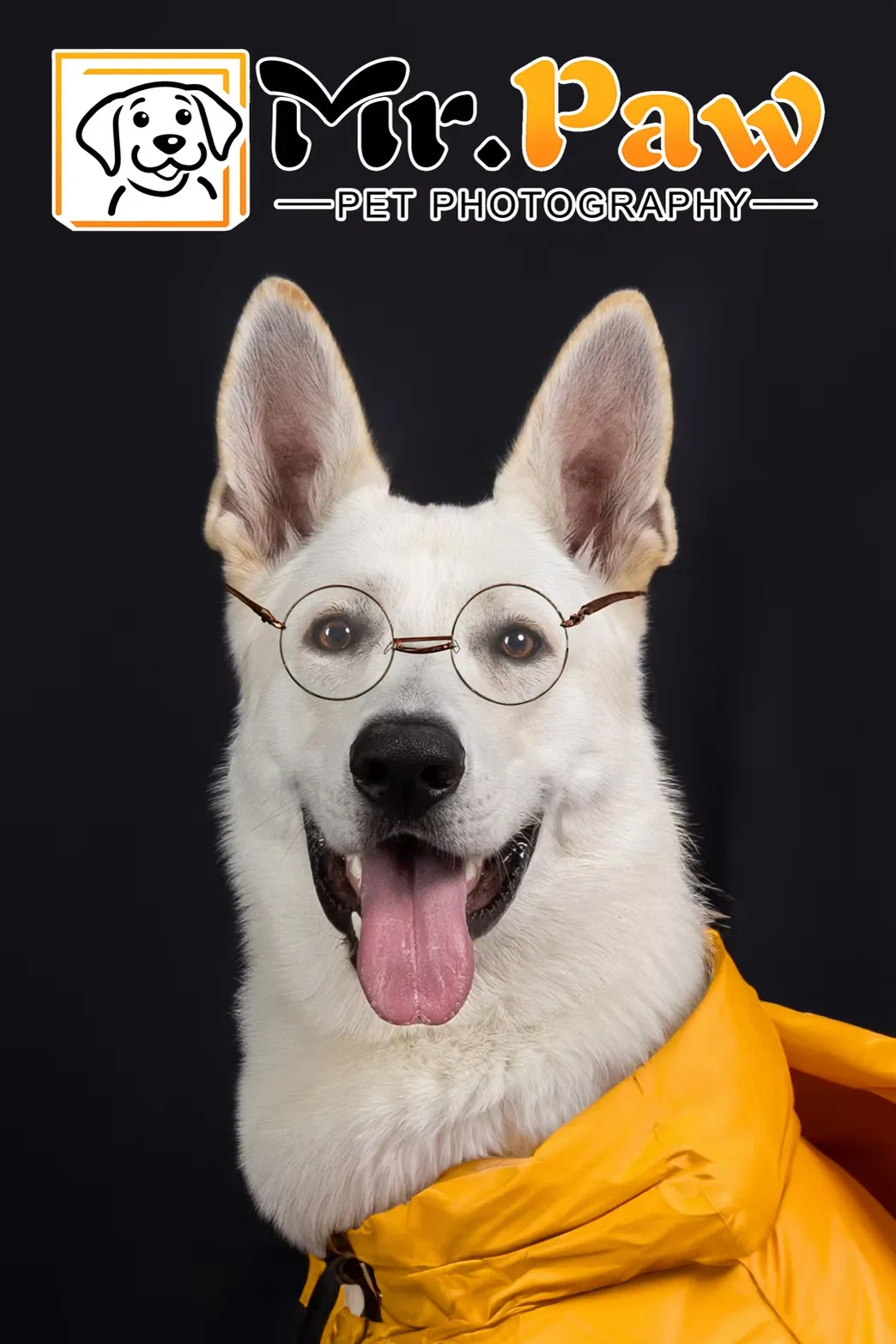 Simba