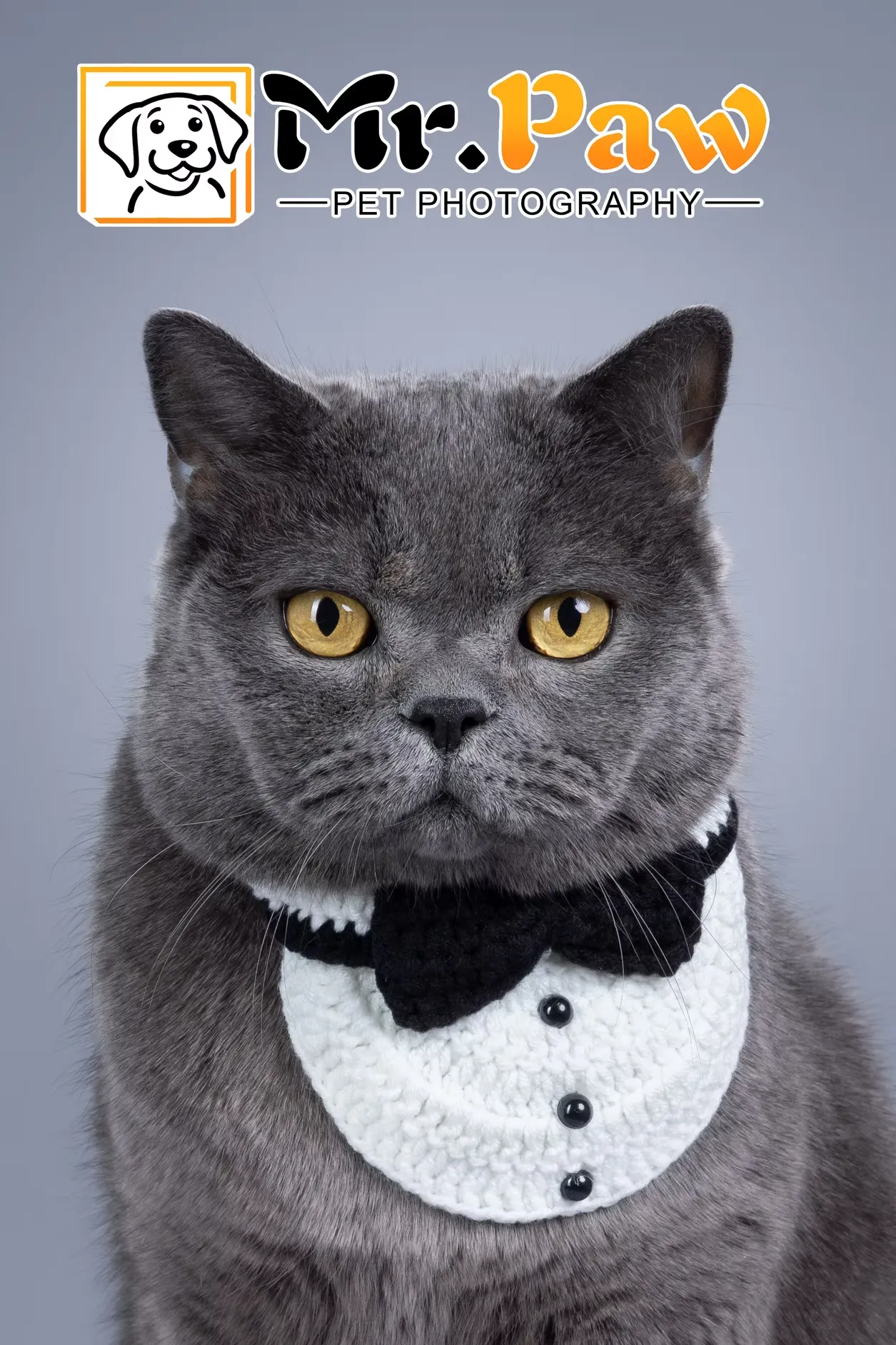 Rocky