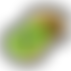 Fruits and Veggies That Are Perfect For Weight loss