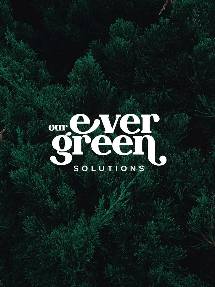 Evergreen Solutions Branding Greta Design studio