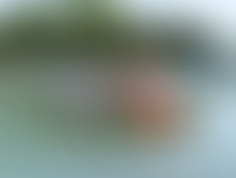 Klosterneuburg in Rio: Verabschiedung der Olympionikin Corinna Kuhnle