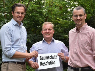 Gemeinderat beschließt Resolution zum Schutz der Bäume