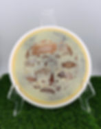 Thumbnail: MVP - OTB Open 2026 SE James Conrad Fission - Trail