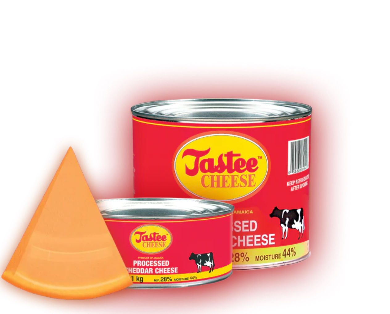 Tastee Cheese Slices