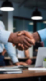 Last Vision Solutions