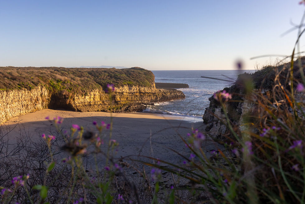 Nourishing the Spirit: A gathering in the Park