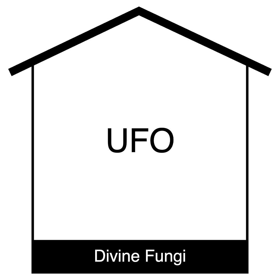 UFO