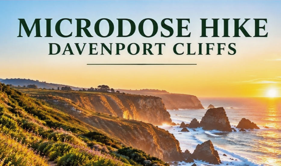 Microdose Hike – Davenport Cliffs