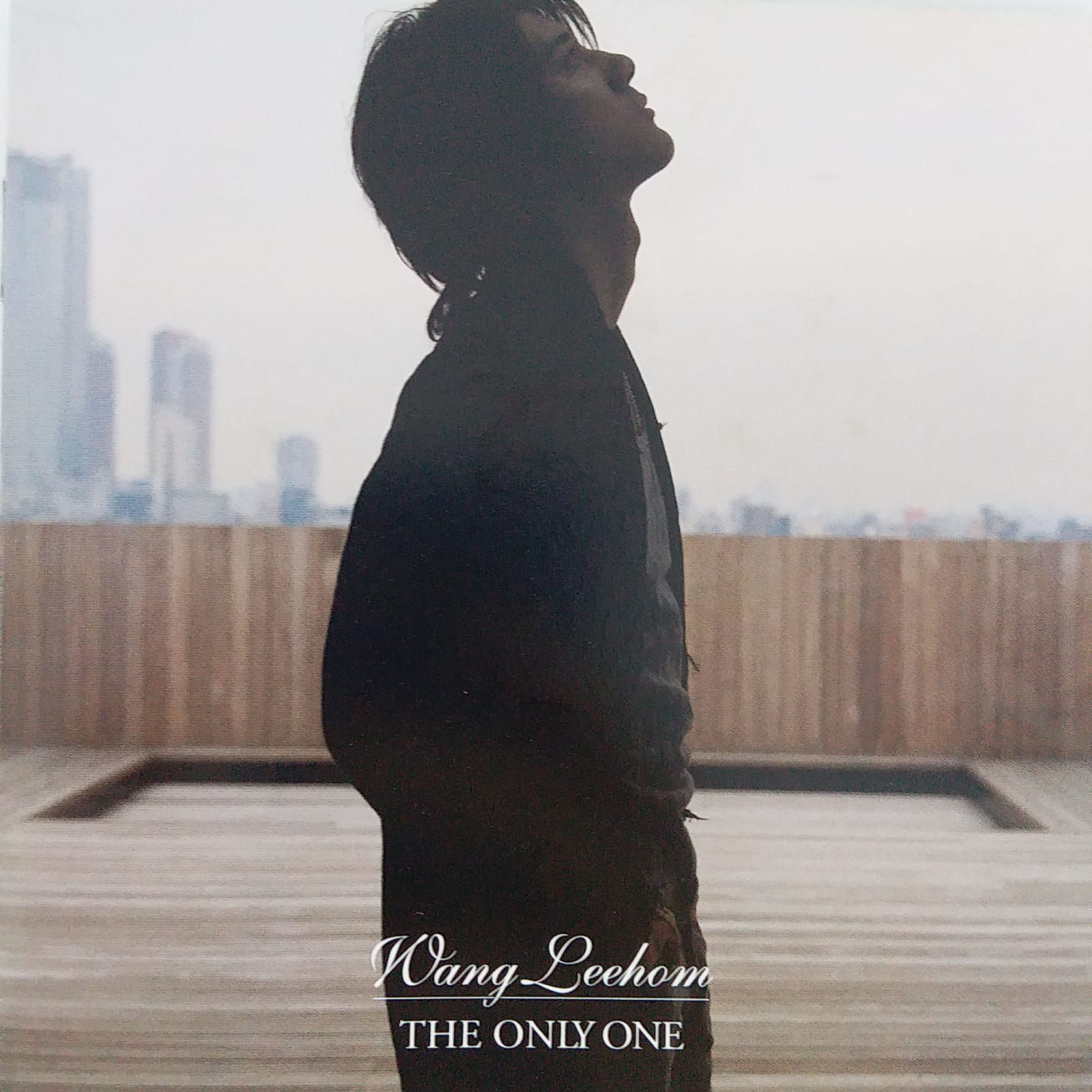 王力宏 - The Only One