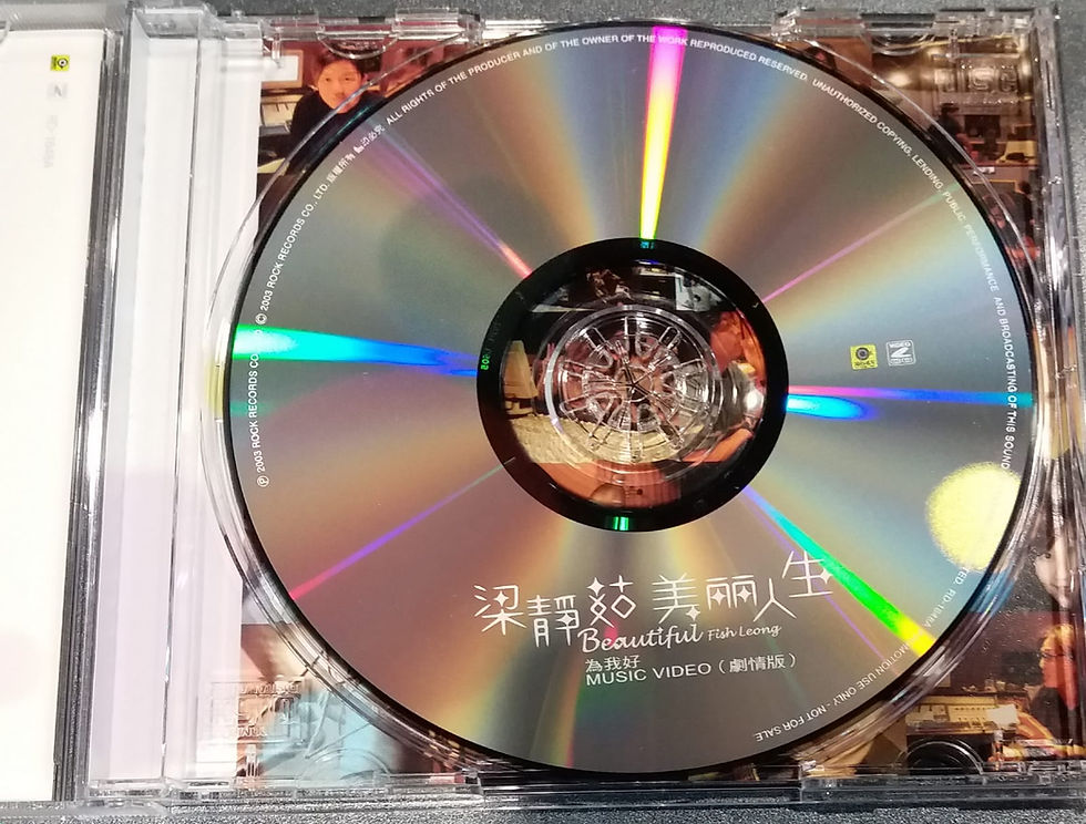 縮圖：梁靜茹 - 美麗人生 (CD+VCD)