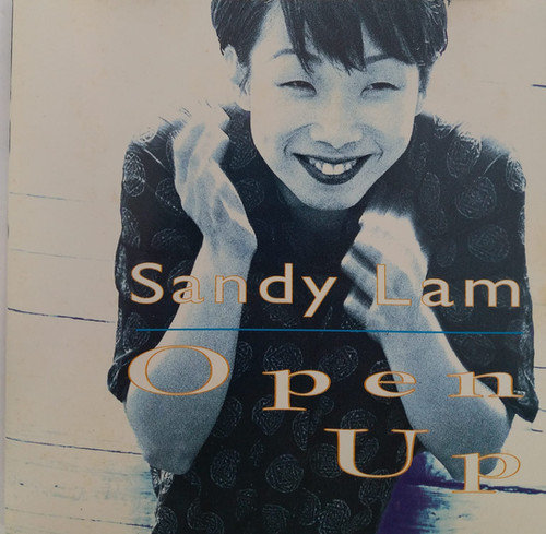 サンディ・ラム 林憶蓮 SANDY LAM Open Up PICL-1096 国内盤CD