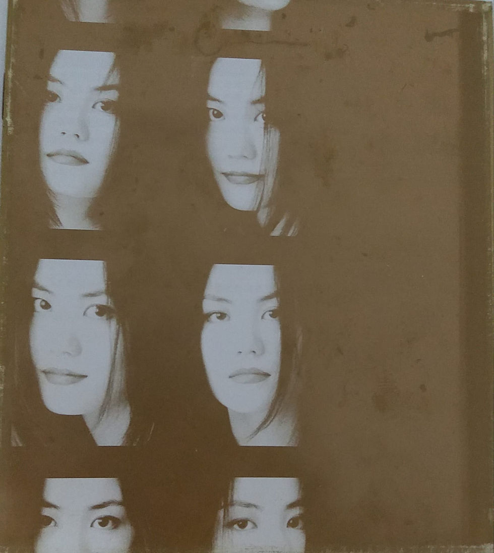 縮圖：王菲 - 但願人長久 (2 CD)