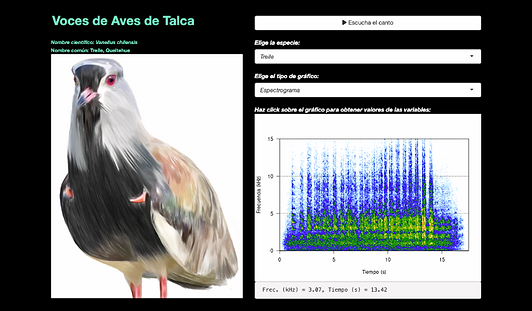 Captura de pantalla 2023-12-14 a la(s) 12.30.22.png