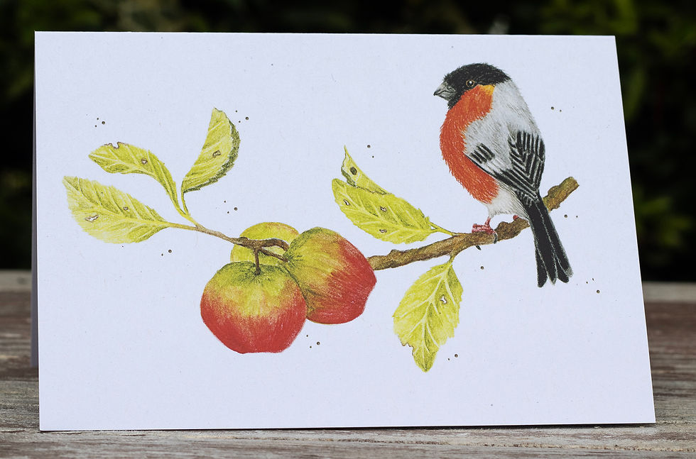Bullfinch & Apples card