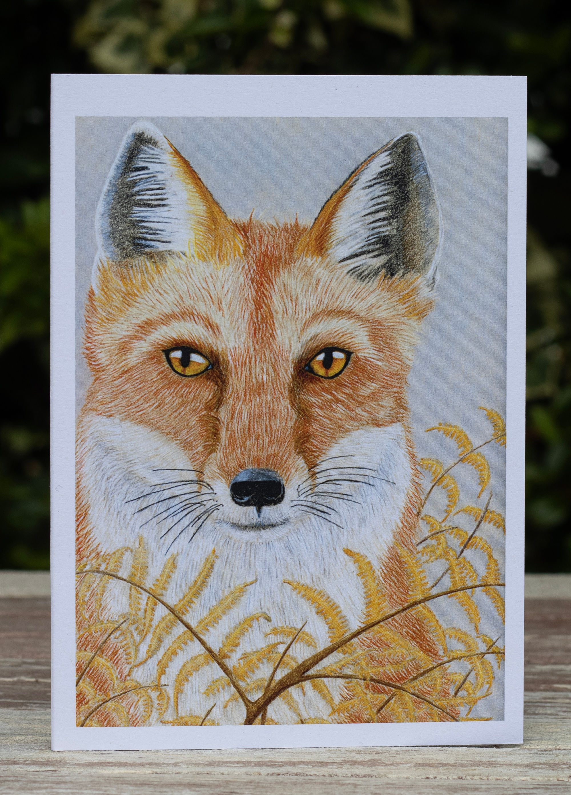 Autumn Fox card