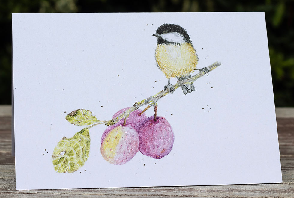 Coal tit & Plums card