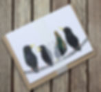 Thumbnail: Starlings card