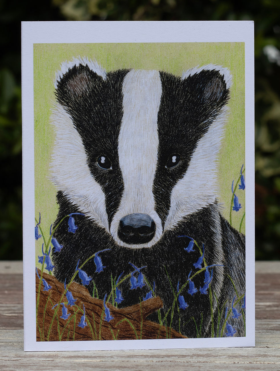 Spring Badger card