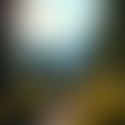 Things to Do in Estes Park: Top Activities and Adventures