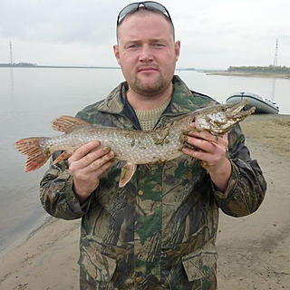 Фото автора: Admin