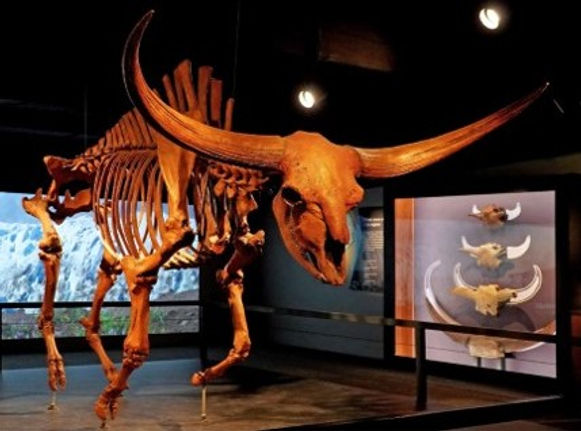 Eric Scott - Ice Age Extinction 2025-Feb-05.jpg