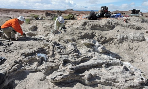 Dino Utah.png