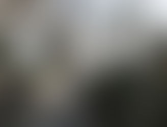 Idee-intento e forma-contenuto