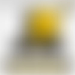 Conheça a linha de compressores rotativos de parafuso. Na foto apresentamos um dos compressores da l