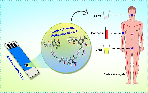 Graphical Abstract_edited.jpg