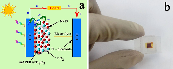 Figure 5.tif