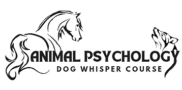 Animal psychology_20250502_173531_0011_edited.png