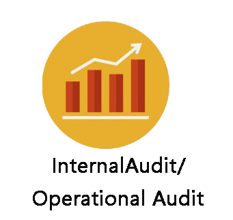 Internal audit