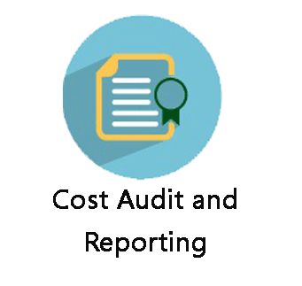 Cost Audit and Reporting