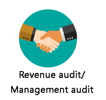 Revenue audit