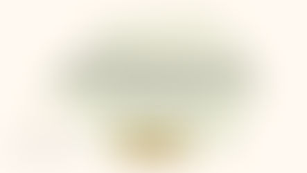 EXECUÇÕES FISCAIS: O que sua empresa precisa saber sobre a nova resolução do CNJ (nº 547/2024) e o Tema1184do STF