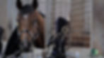 StableWizard