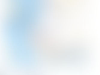 AME - Compte rendu du 2ème conseil de la mer