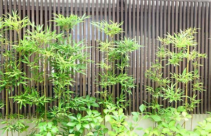 フェンス・目隠し施工