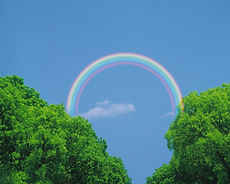 迅速対応と丁寧なアドバイス