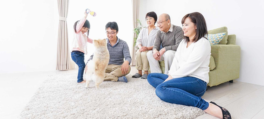 家族で犬と遊ぶ幸せな三世代ファミリー