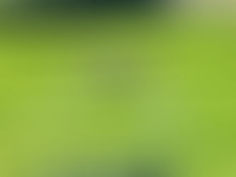 農業用ドローンサービス開始のお知らせ