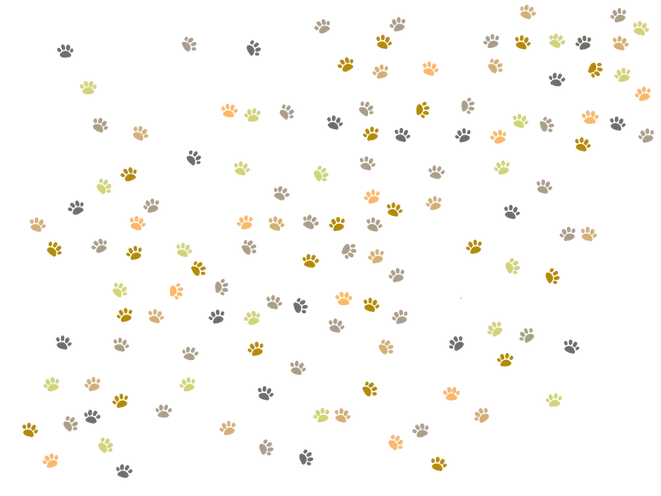 細かい足跡がいっぱい