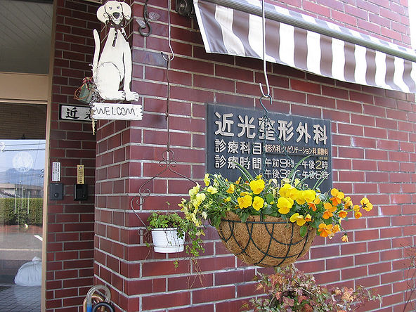 津山市 | 整形外科 | リハビリテーション科 | 近光整形外科