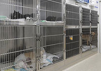 入院室(犬)