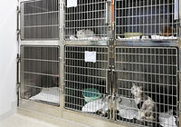 入院室(猫)