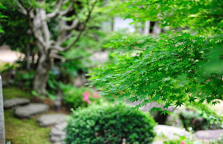 庭園設計・施工・管理